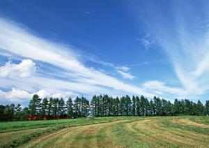 静岡県富士市の信頼できる葬儀場【富士葬祭 富士瓜島】の詳細と特徴