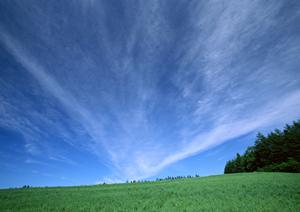 磐田市にある信頼の葬儀場【富士葬祭 中泉】 ? 家族葬・一日葬に対応した安心の葬儀サービス