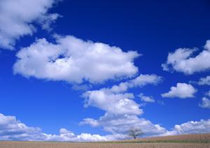 静岡県浜松市の家族葬専門斎場｜家族葬のタクセル葵西の特徴とサービス詳細